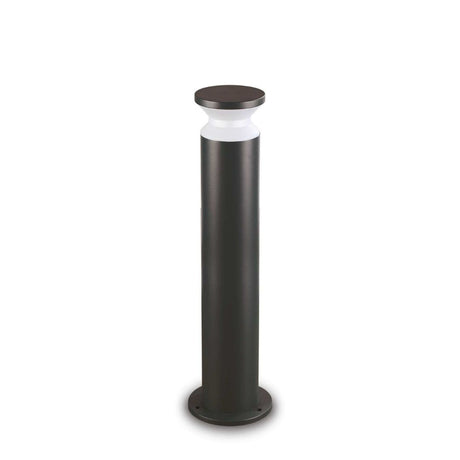 TORRE