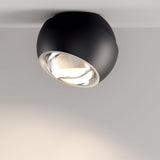 SPIDER CELING