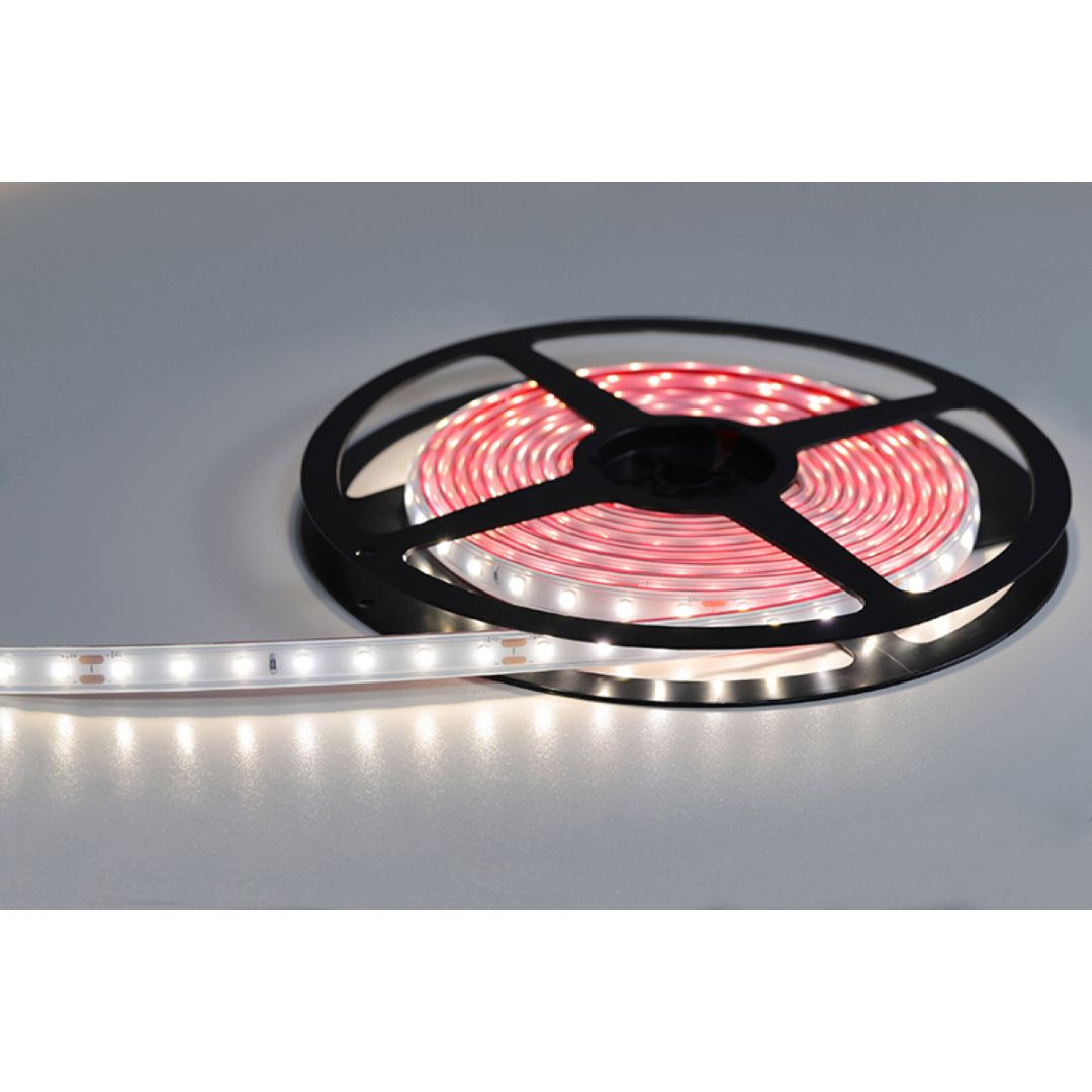 STRIP LED 14,4 W/m x esterno