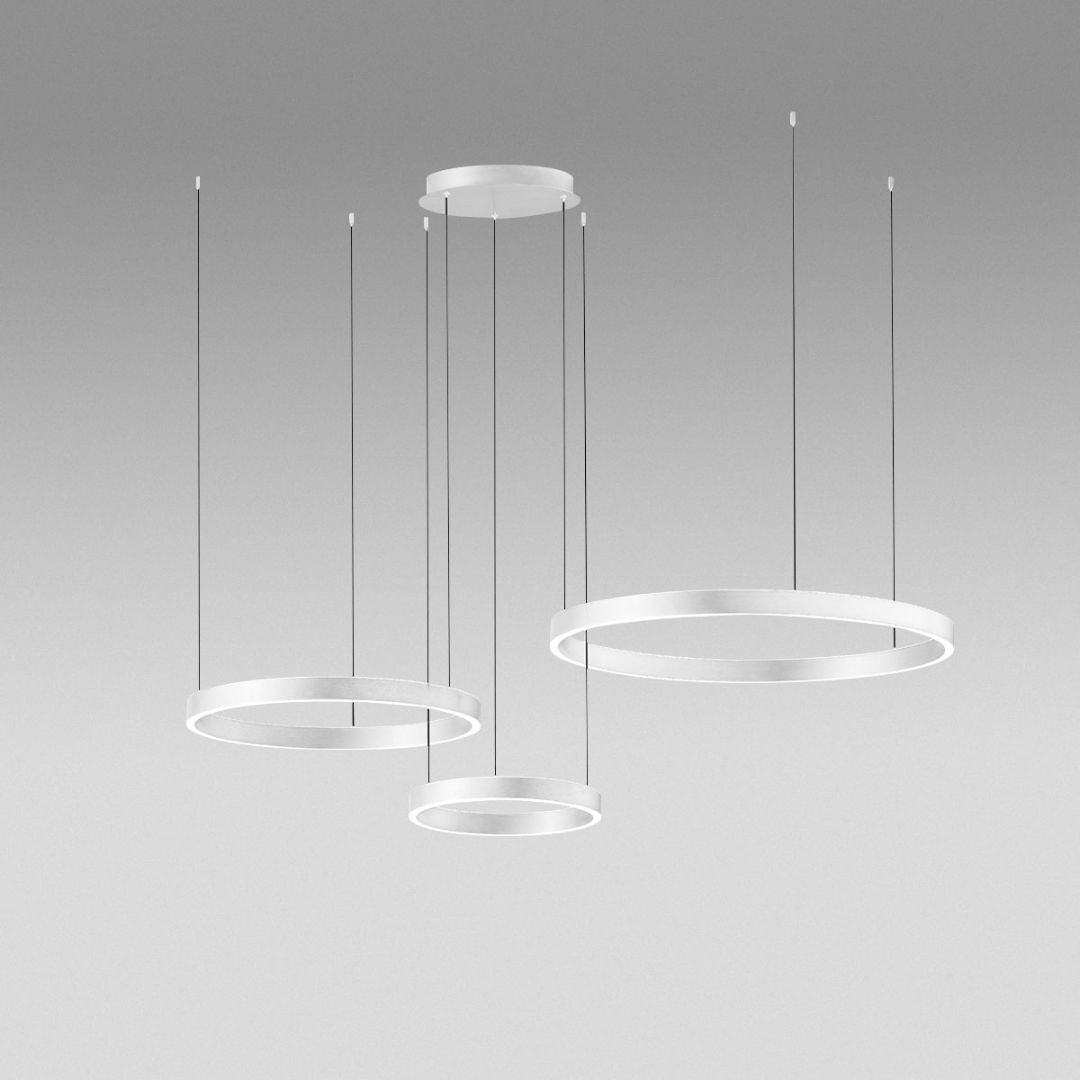 CRISEIDE S/3D