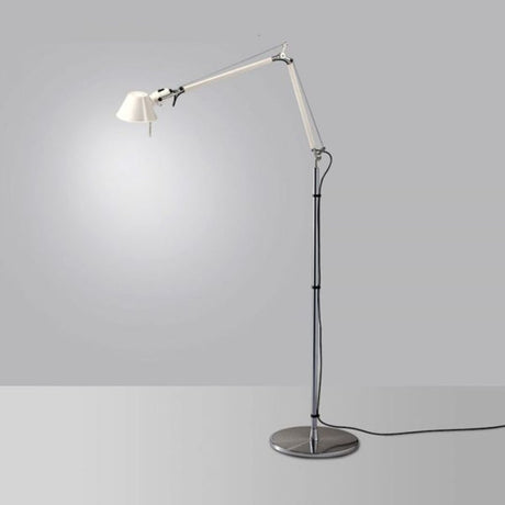 TOLOMEO TERRA