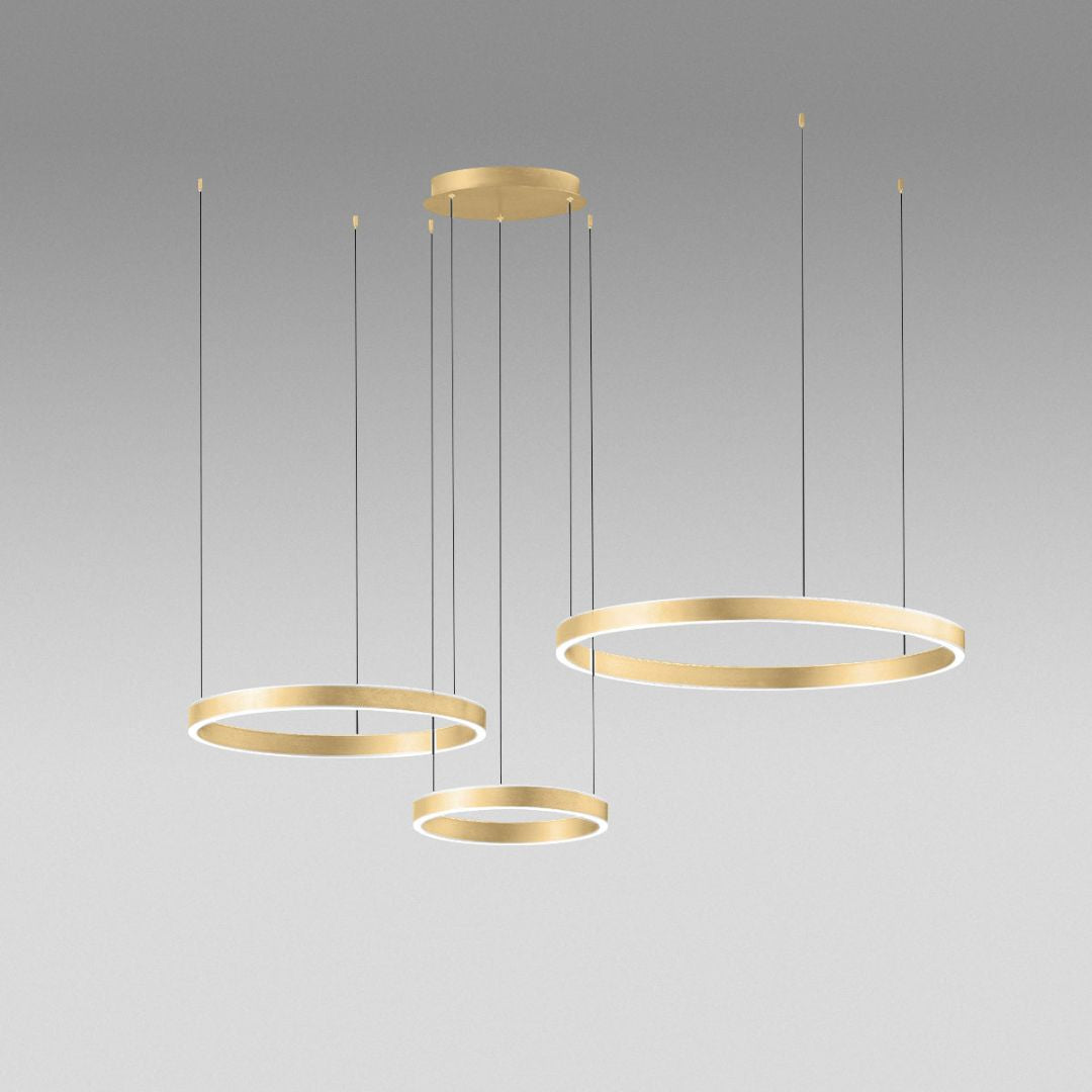 CRISEIDE S/3D