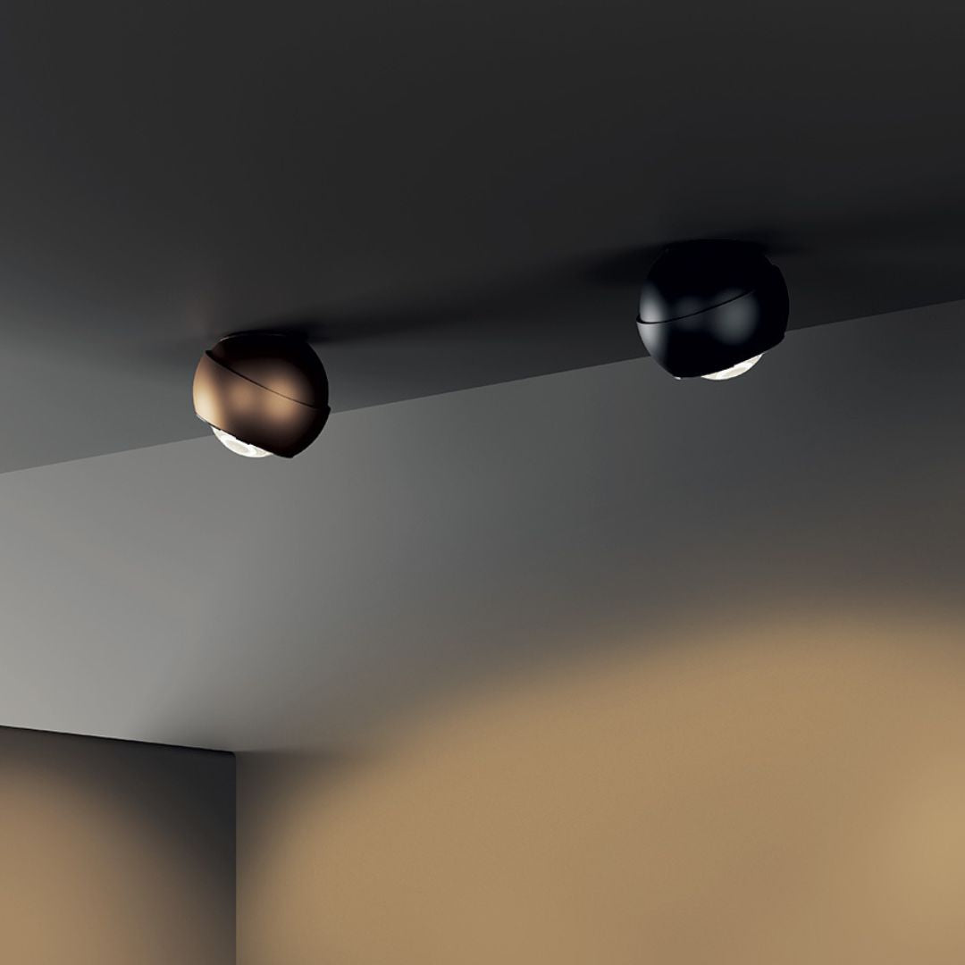 SPIDER CELING
