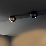 SPIDER CELING