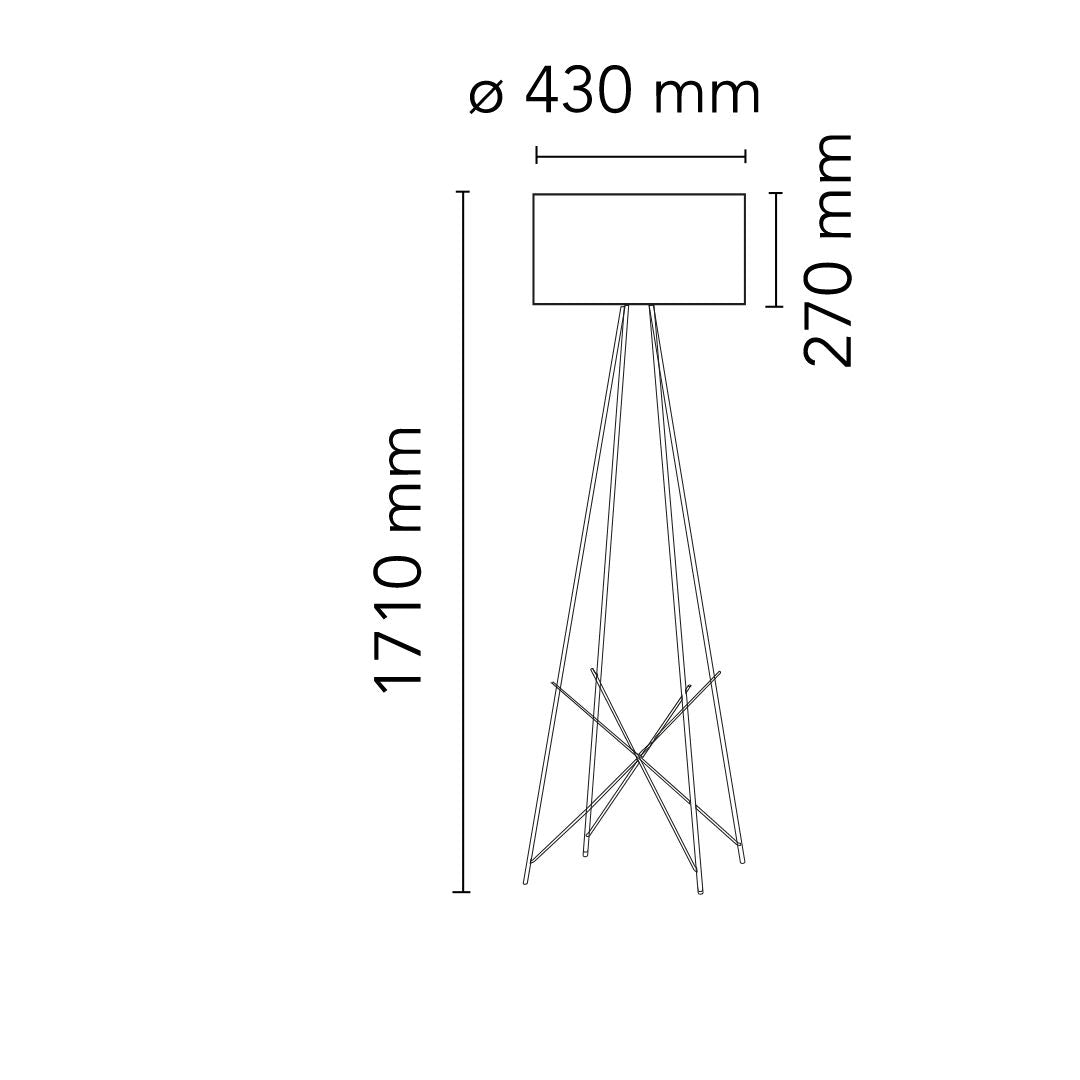 RAY-F2